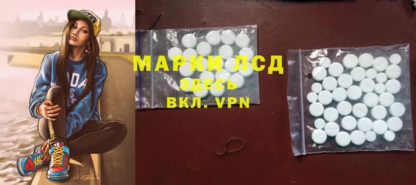 эйфоретик Алзамай