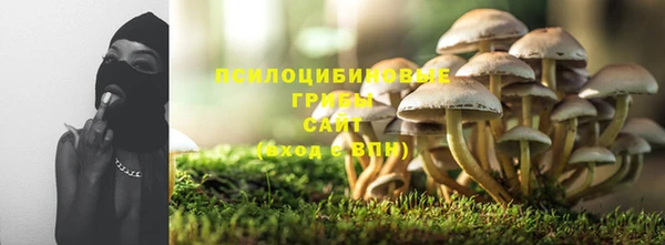 эйфоретик Алзамай