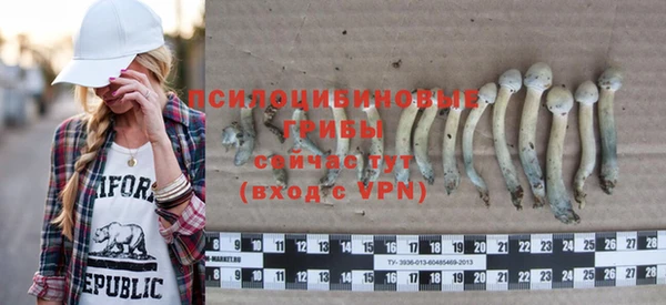 эйфоретик Алзамай
