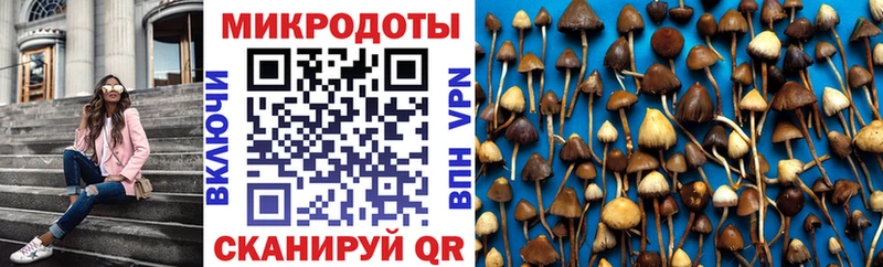 сколько стоит  Краснотурьинск  Галлюциногенные грибы ЛСД 